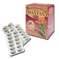 Siantan Demam Typhus Tablet (per Pcs)